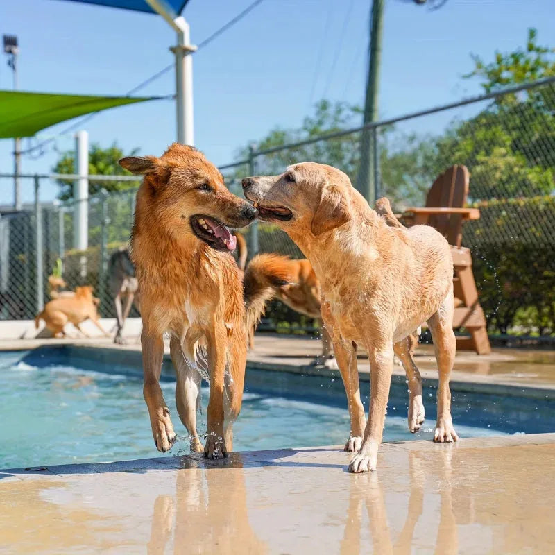 Inflatable Pet Cooling Bathtub With Water Spray